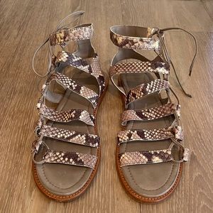 Frye Snakeskin Gladiator Sandals